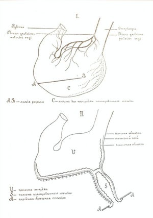 Item #1 [PAVLOV’S MAIN WORK] Lectures on the Work of the Principal Digestive Glands. I. P. Pavlov