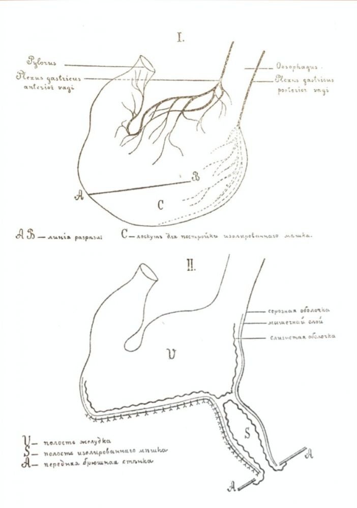Item #1 [PAVLOV’S MAIN WORK] Lectures on the Work of the Principal Digestive Glands. I. P. Pavlov.