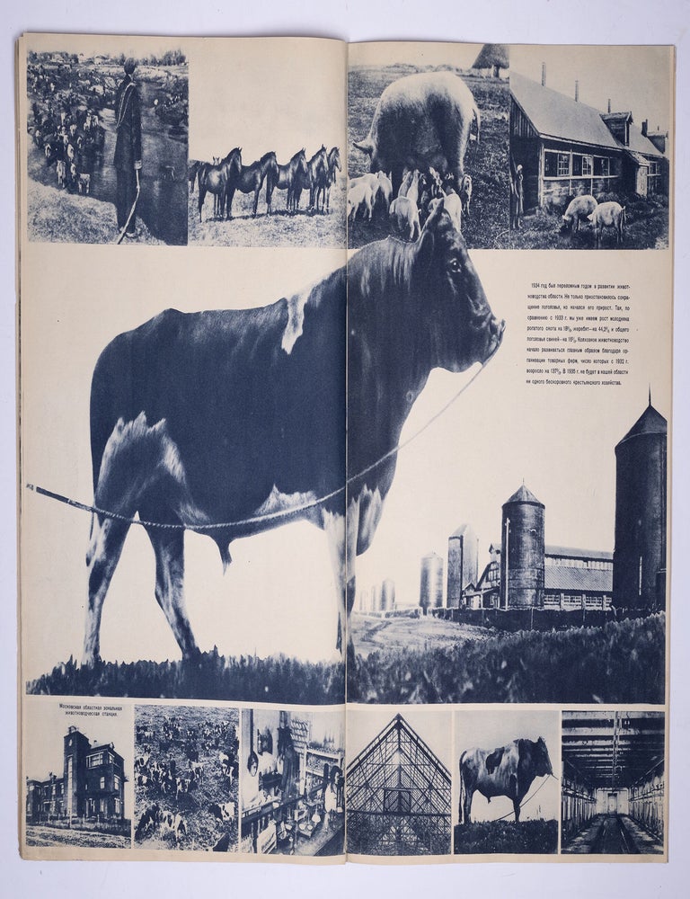 Item #2817 [TROSHIN] Moskovskaia oblast' na stroike [Moscow Region in Construction]