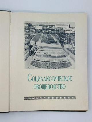 [VEGETABLE PHOTO-BOOK] Ovoshchevodstvo v SSSR [Vegetable Growing in the USSR] / edited by I. Benediktov, A. Gritsenko, and P. Pospelov