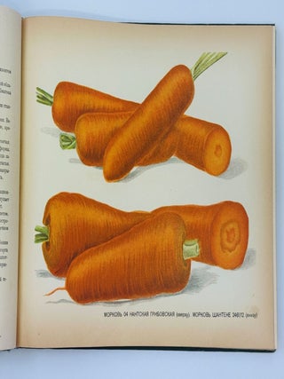 [VEGETABLE PHOTO-BOOK] Ovoshchevodstvo v SSSR [Vegetable Growing in the USSR] / edited by I. Benediktov, A. Gritsenko, and P. Pospelov
