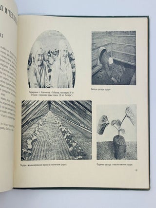 [VEGETABLE PHOTO-BOOK] Ovoshchevodstvo v SSSR [Vegetable Growing in the USSR] / edited by I. Benediktov, A. Gritsenko, and P. Pospelov