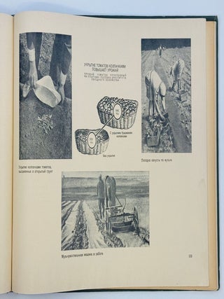 [VEGETABLE PHOTO-BOOK] Ovoshchevodstvo v SSSR [Vegetable Growing in the USSR] / edited by I. Benediktov, A. Gritsenko, and P. Pospelov