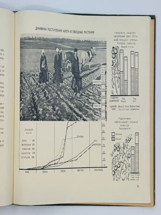 [VEGETABLE PHOTO-BOOK] Ovoshchevodstvo v SSSR [Vegetable Growing in the USSR] / edited by I. Benediktov, A. Gritsenko, and P. Pospelov
