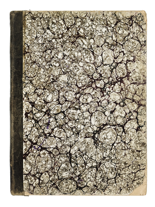 [CARICATURE] Sto chetyre risunka k poeme N. V. Gogolia &ldquo;Mertvye dushi&rdquo; [One Hundred and Four Drawings for N. V. Gogol&rsquo;s Poem Dead Souls]