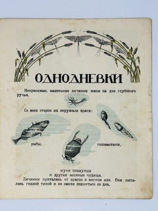 [RADUGA] Odnodnevki [i.e. Mayflies]
