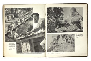 [POULTRY PHOTOMONTAGES] Ptitsevodstvo. Krolikovodstvo [i.e. Poultry Breeding. Rabbit Breeding] / compiled by A. Kuz’michev, edited by V. Karelin, designed by A. Belov